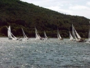 Regatta 190806_12