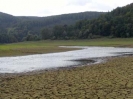 Herbst 2003_28