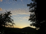 Sommerfest 2019_36