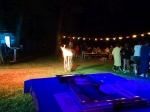Sommerfest 2019_76