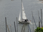 Abschlussregatta WSVR 2019_141